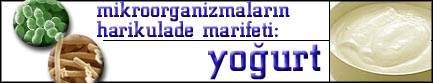 Mikroorganizmalarn Harika Marifeti: Yourt