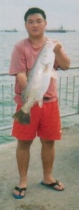 This nice 4.5kg Barramundi gave me 15 minutes of adrenalin rush!