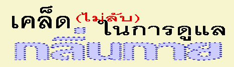   (Ѻ) 㹡ôš蹡