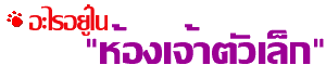  ͧҵ