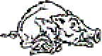 The Razorback State