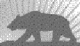 Bear From The State Flag