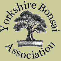 The Yorkshire Bonsai Association
