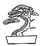 Driftwood