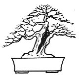 Split trunk
