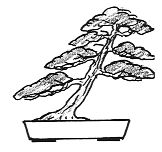 Slanting