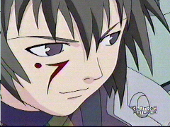 Another close up of Raven.
