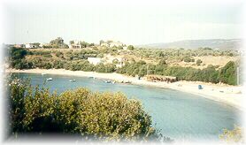 the beach