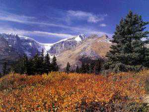 Wilcox Pass