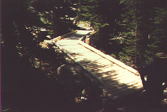 Finished Bridge