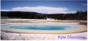 Beauty Pool