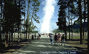 Crowd Approaching Old Faithful Geyser