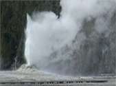 Lion Geyser