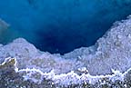 Black Pool