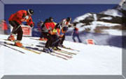 The Skier Cross