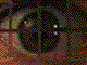 Cool Sites