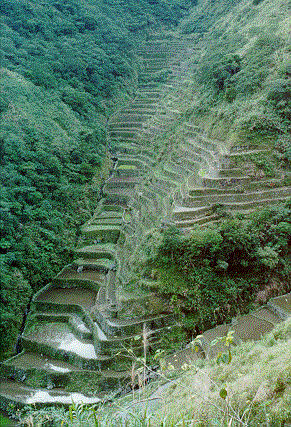 Batad Rice Terraces