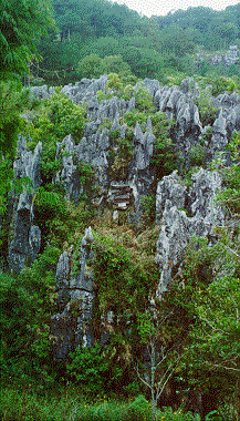Hanging Coffins of Echo Valley