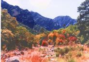 Lower McKittrick Canyon