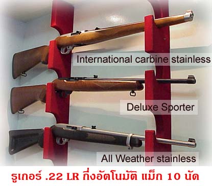 Ruger 1022 family  .22LR rifle
