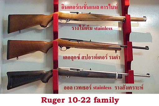 Ruger 1022 rifle  .22LR semi-automatic