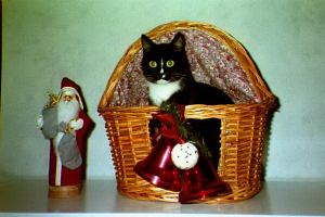 Miirus x-mas 2