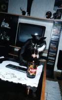 Beer lover