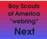 BSA