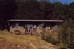 Mid Greenstone