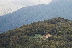 Te Matawai