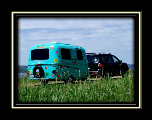 flower power boler