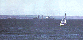 Golfo Nuevo