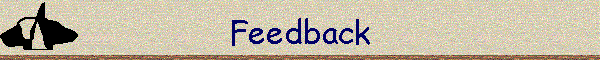 Feedback