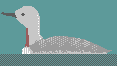 loon