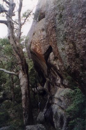 Cathedral Rocks