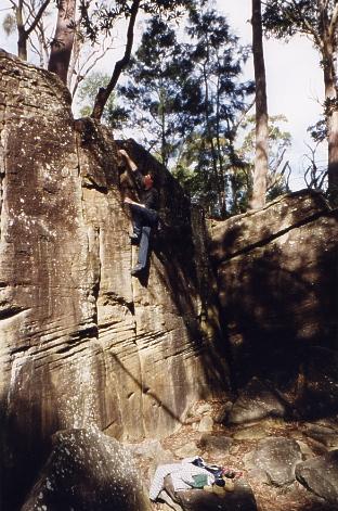 Lindfield Rocks