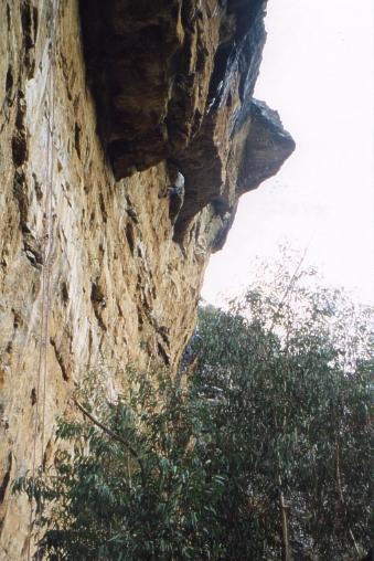 Steve's Grade 30 Project