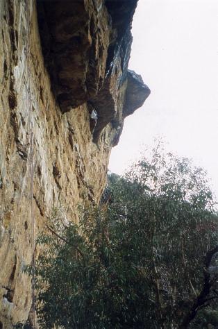 Steve's Grade 30 Project