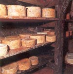 Foto de Queso de Tresviso