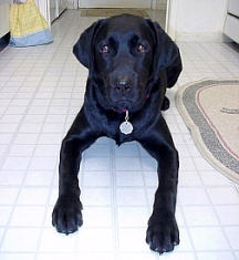 Doshi at 8 months