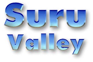 Suru