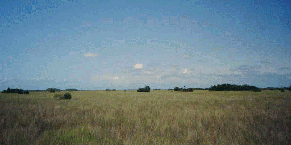 bigview
