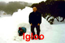 Igloo