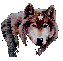 Star Wolf