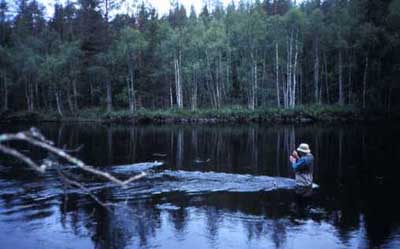 If you want to succeed fishing an unfamiliar stream, why not go with someone visiting it every day! /Harry Salmgren