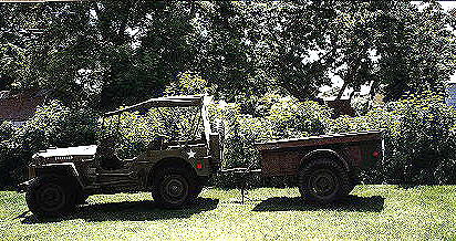 Ray's Jeep like New!