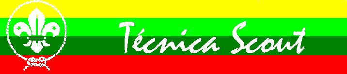 Tcnica Scout