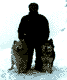 5a.gif - 0,57 K