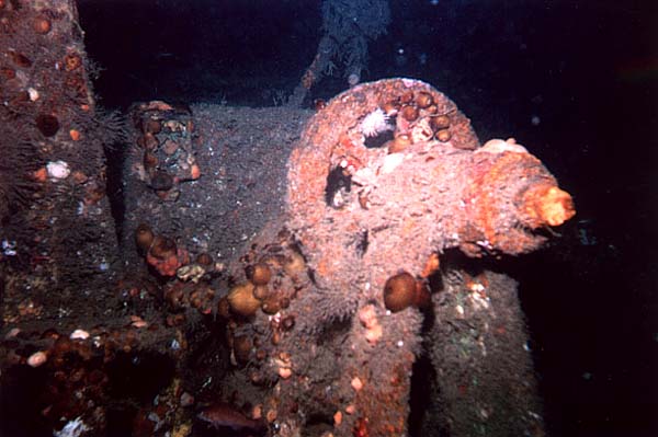 Valve on the Poling