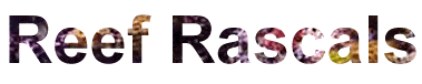 Reefrascal